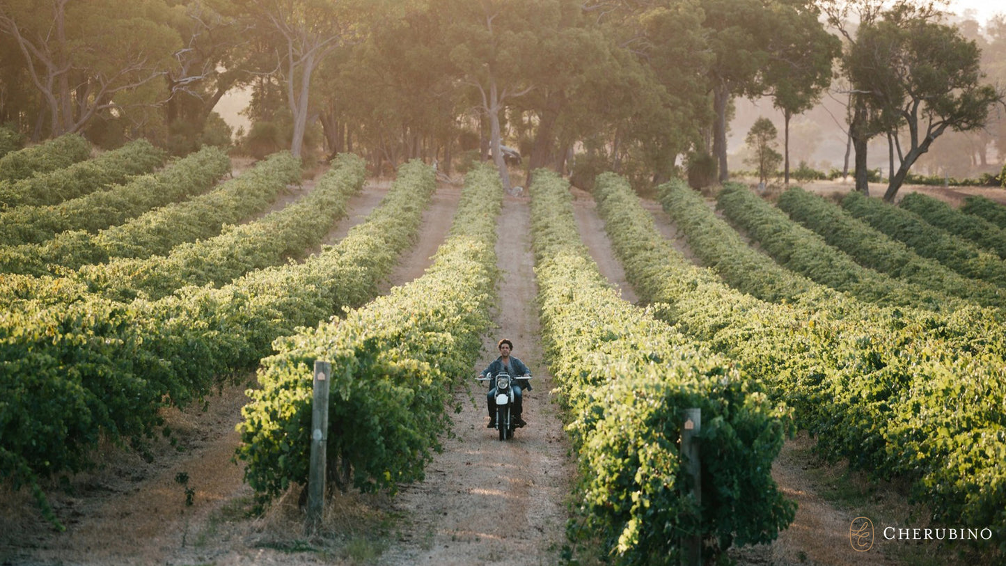 Buy Larry Cherubino wines available at Wine Sellers Direct's best prices.