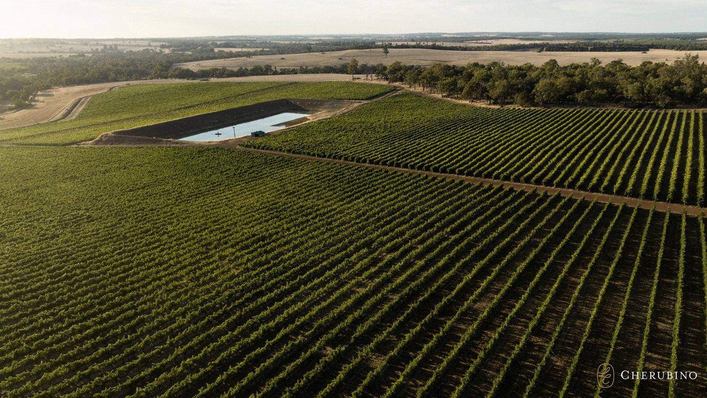 Buy Larry Cherubino wines available at Wine Sellers Direct's best prices.