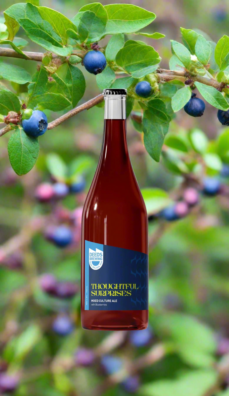 Deeds Thoughtful Surprises 750mL