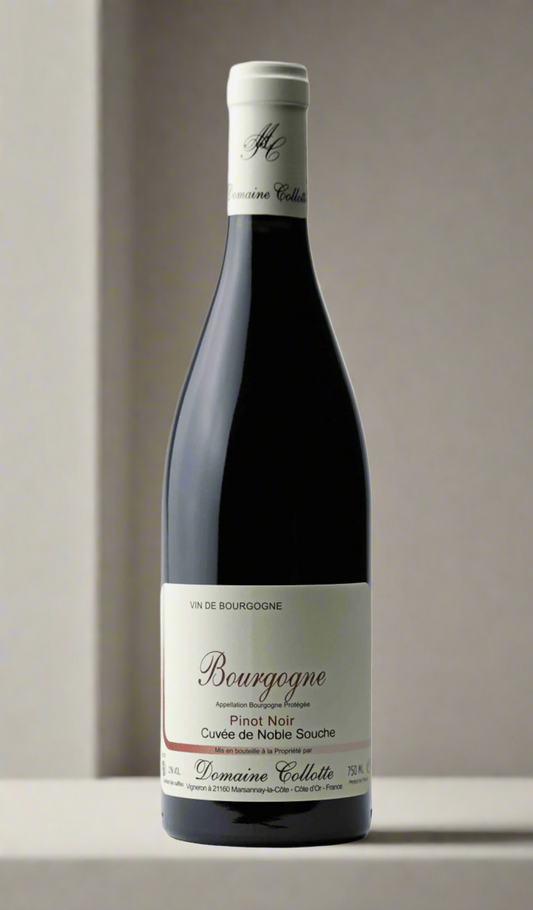 Find out more, explore the range and purchase Domaine Collotte Bourgogne Rouge 2023 (France) available online at Wine Sellers Direct's best prices - Australia's independent liquor specialists.
