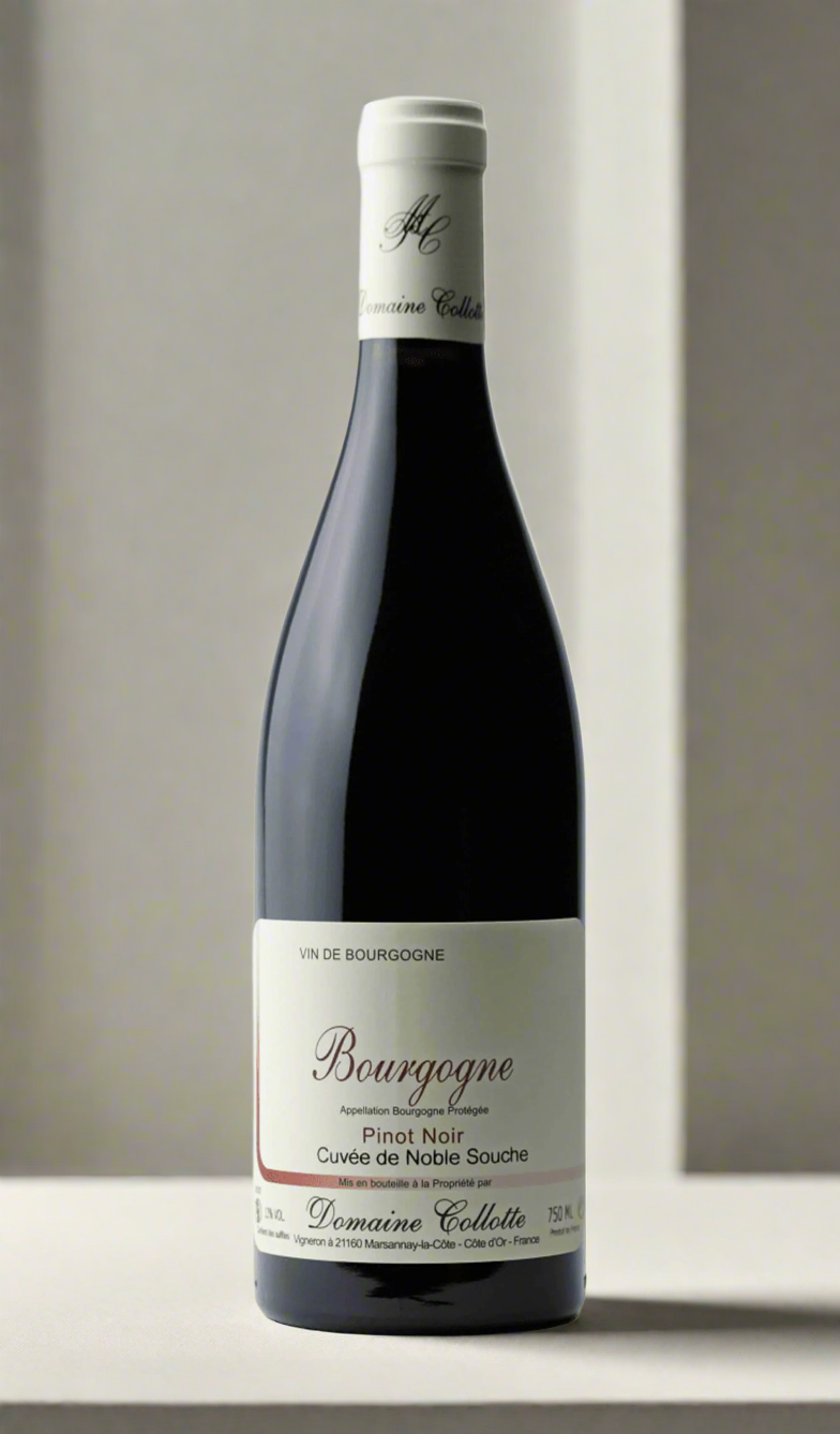 Find out more, explore the range and purchase Domaine Collotte Bourgogne Rouge 2023 (France) available online at Wine Sellers Direct's best prices - Australia's independent liquor specialists.