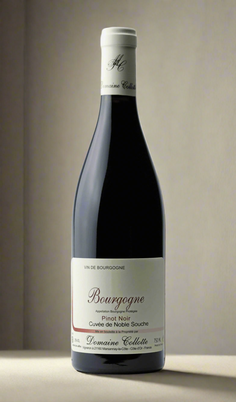 Find out more, explore the range and purchase Domaine Collotte Bourgogne Rouge 2023 (France) available online at Wine Sellers Direct's best prices - Australia's independent liquor specialists.