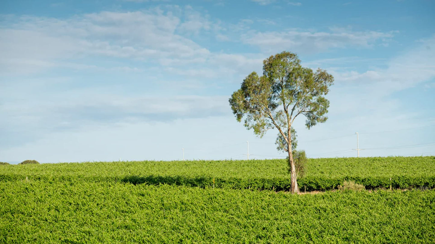 Explore the range and buy Hentley Farm wines available a Wine Sellers Direct's best prices.