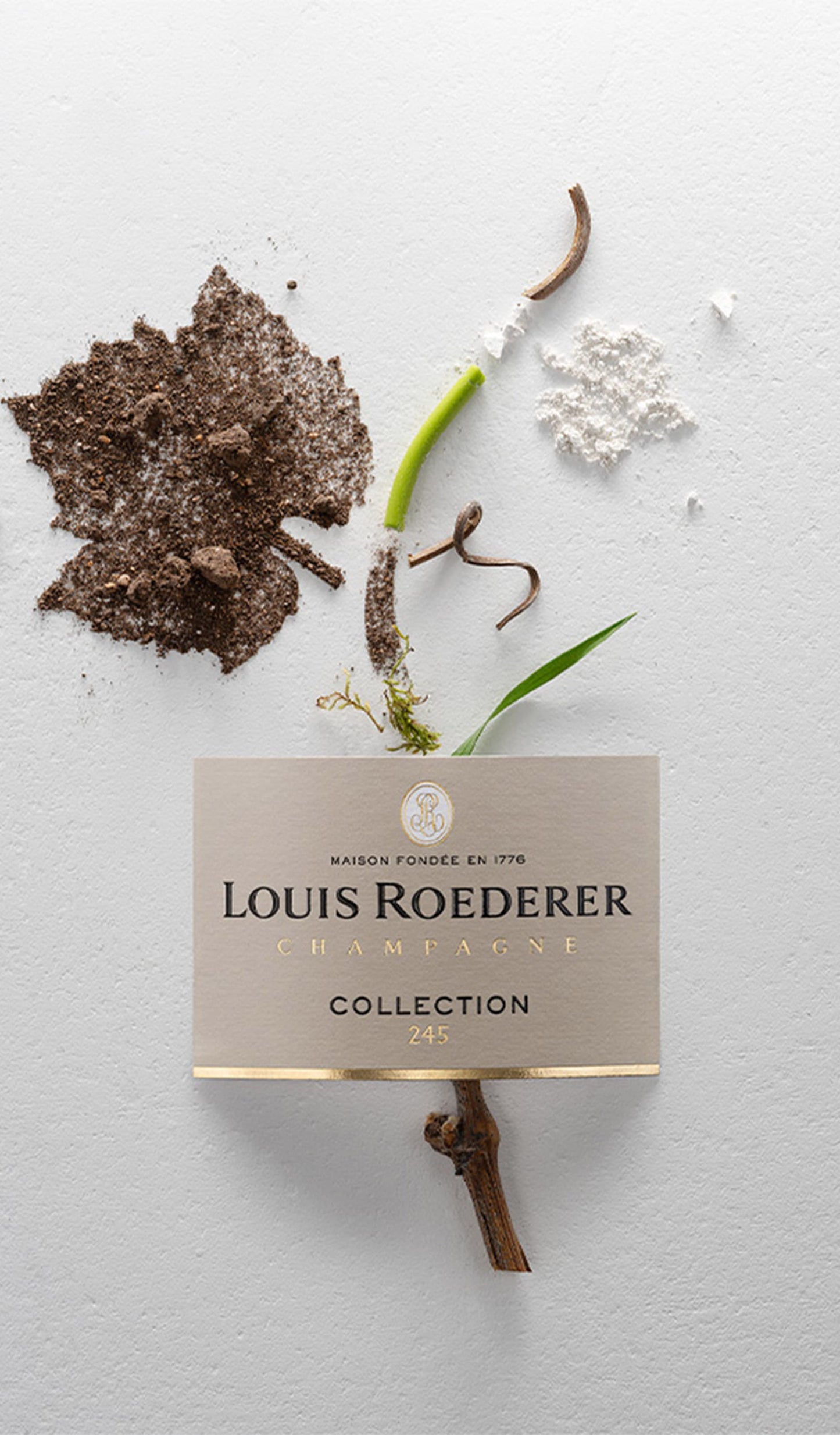 Find out more, explore the range and buy Louis Roederer Collection 244 Brut Champagne available at Wine Sellers Direct's best prices - Australia's independent liquor specialists.