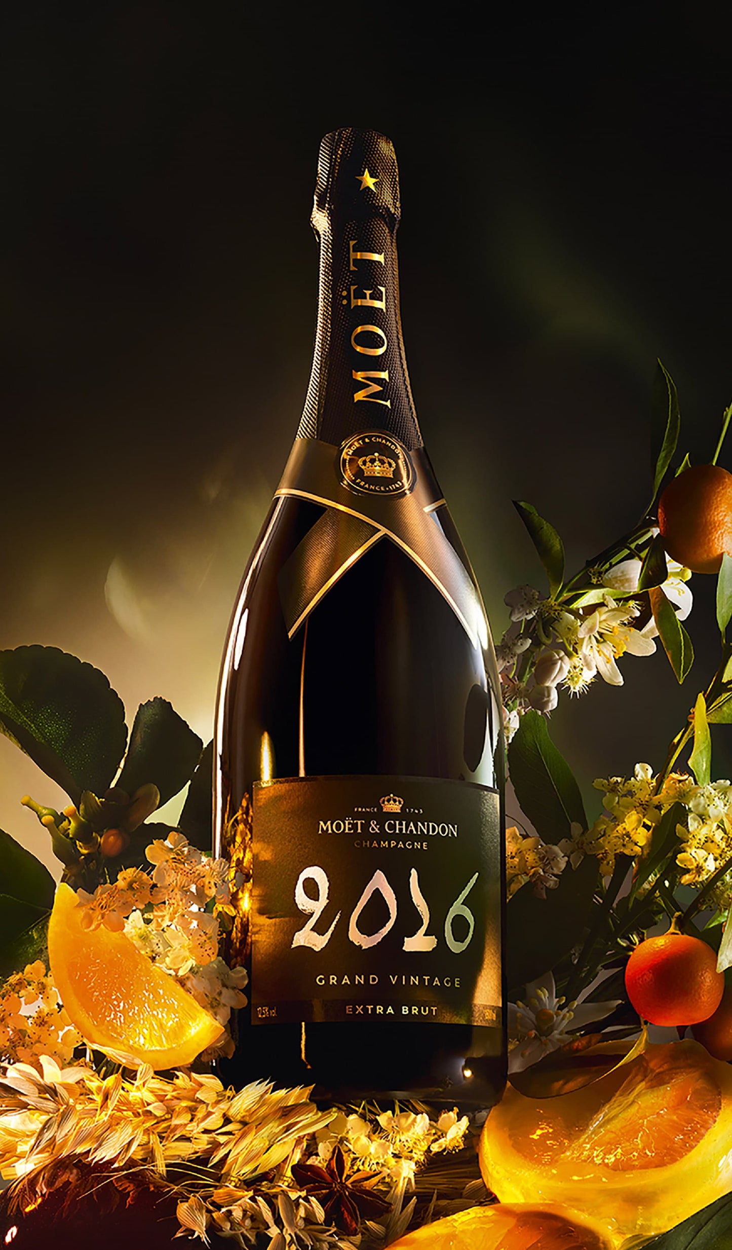Buy Moët & Chandon Grand Vintage Extra Brut 2016 (Champagne) available at Wine Sellers Direct's best prices.