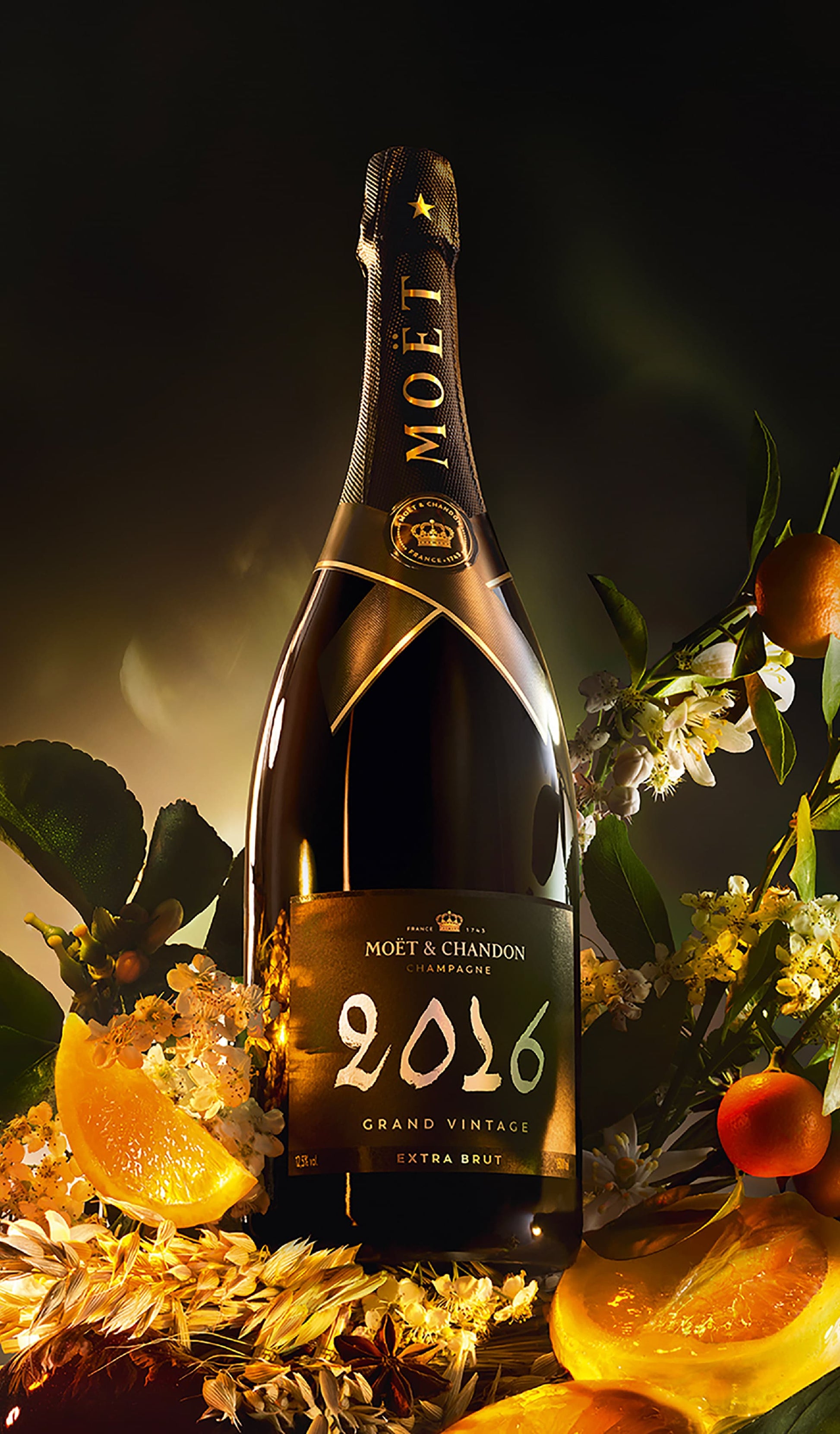 Buy Moët & Chandon Grand Vintage Extra Brut 2016 (Champagne) available at Wine Sellers Direct's best prices.