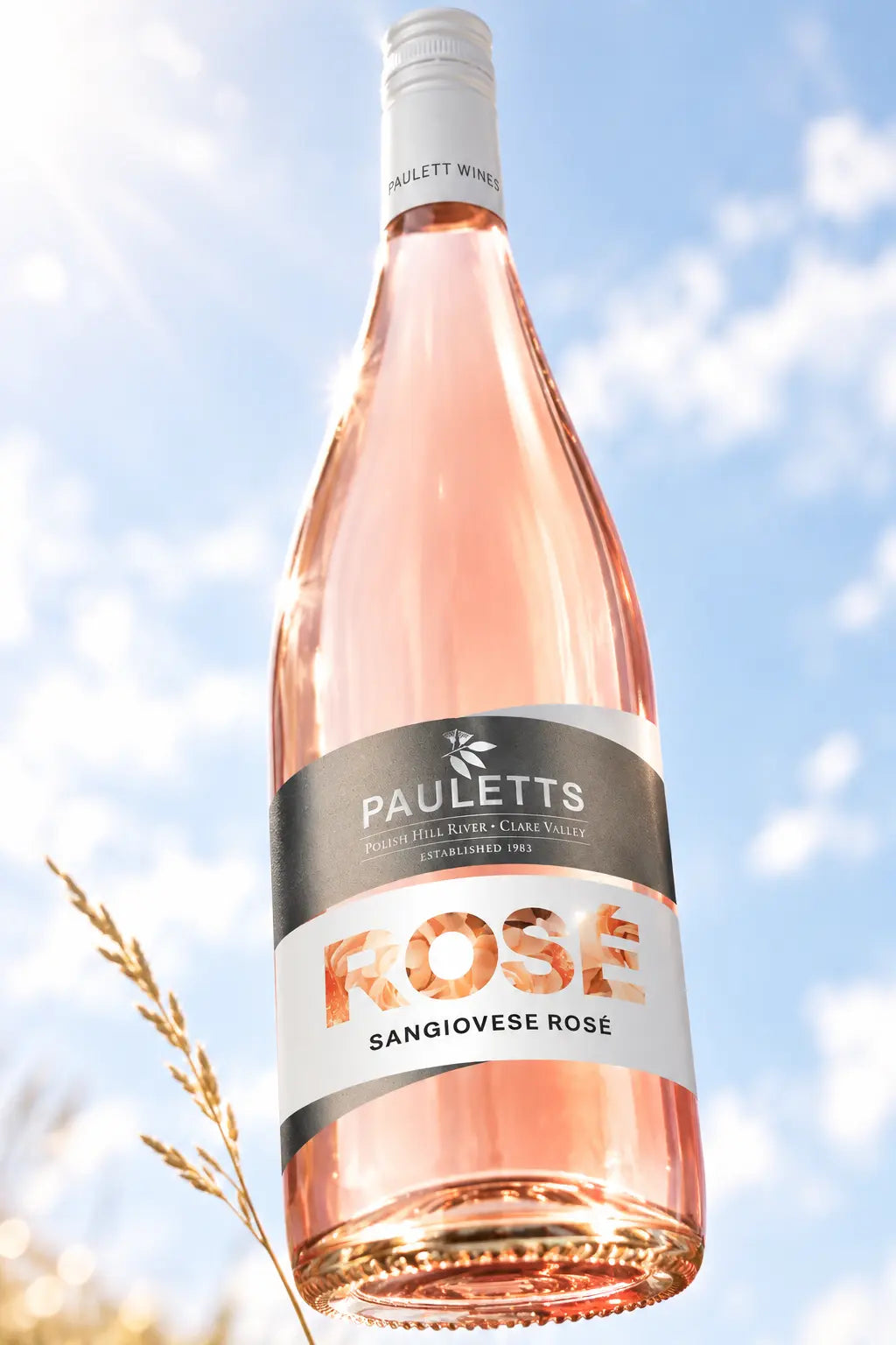 Pauletts Sangiovese Rosé 2026 750mL bottle from Clare Valley