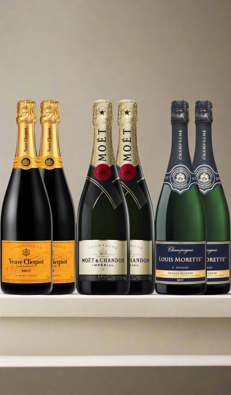 Find out more or buy this 6-Pack Champagne Bundle available at Wine Sellers Direct's best prices.