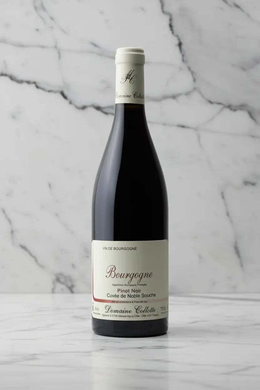 Buy Domaine Collotte Bourgogne Rouge 2024 (France) available online at Wine Sellers Direct's best prices.