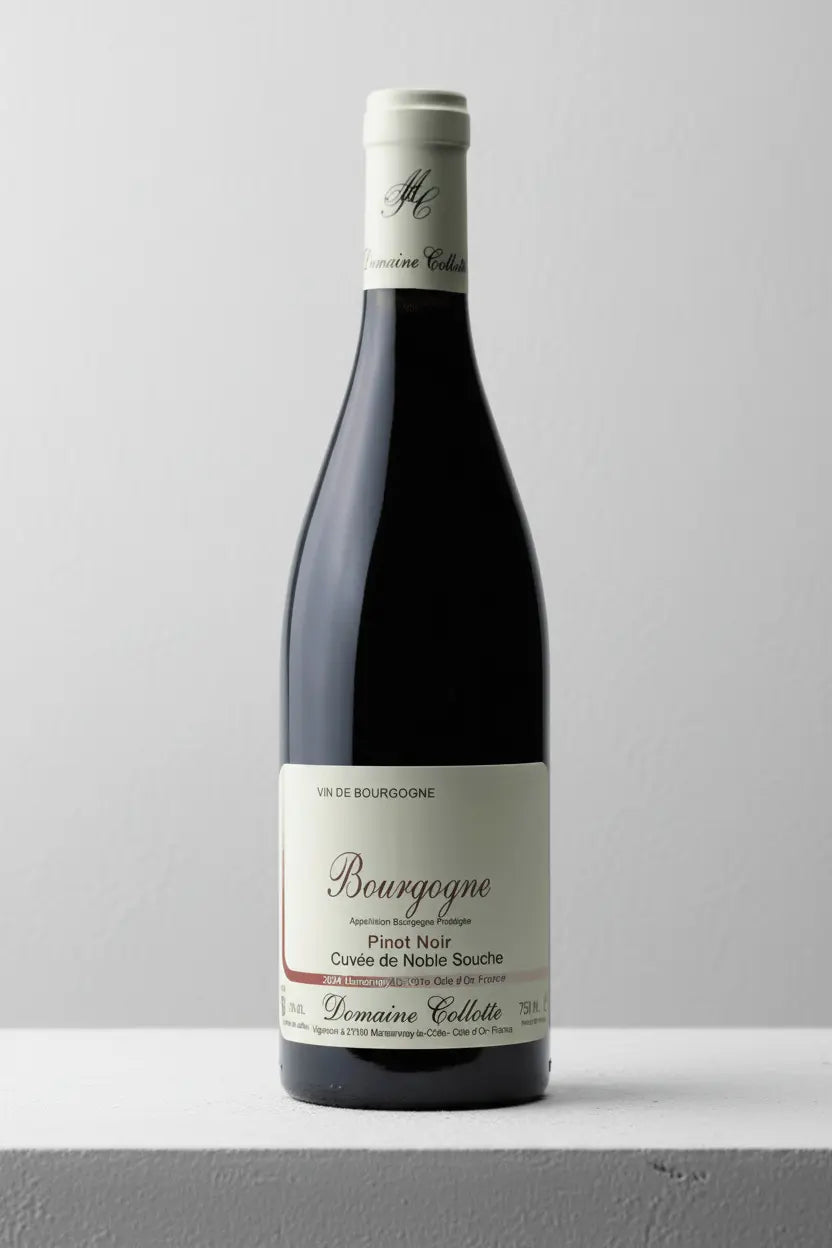 Buy Domaine Collotte Bourgogne Rouge 2024 (France) available online at Wine Sellers Direct's best prices.