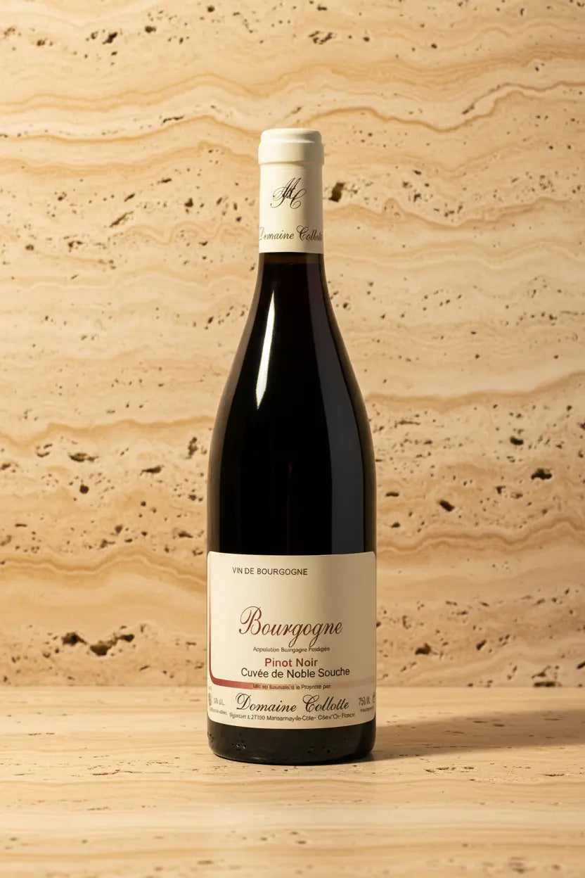 Buy Domaine Collotte Bourgogne Rouge 2024 (France) available online at Wine Sellers Direct's best prices.