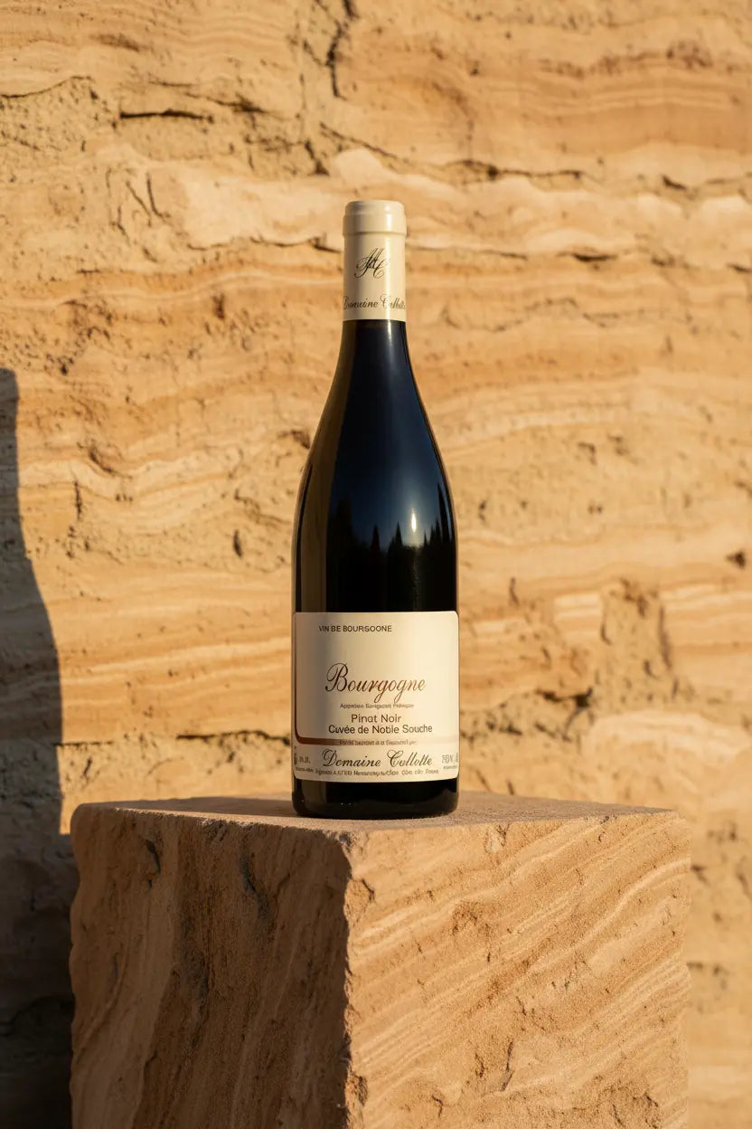 Buy Domaine Collotte Bourgogne Rouge 2024 (France) available online at Wine Sellers Direct's best prices.
