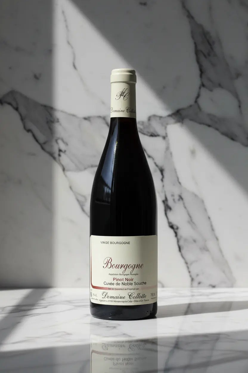 Buy Domaine Collotte Bourgogne Rouge 2024 (France) available online at Wine Sellers Direct's best prices.