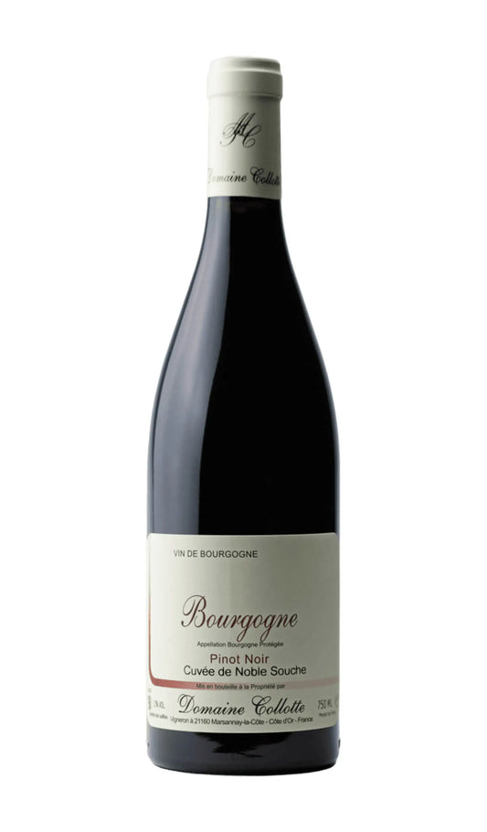 Buy Domaine Collotte Bourgogne Rouge 2024 (France) available online at Wine Sellers Direct's best prices.