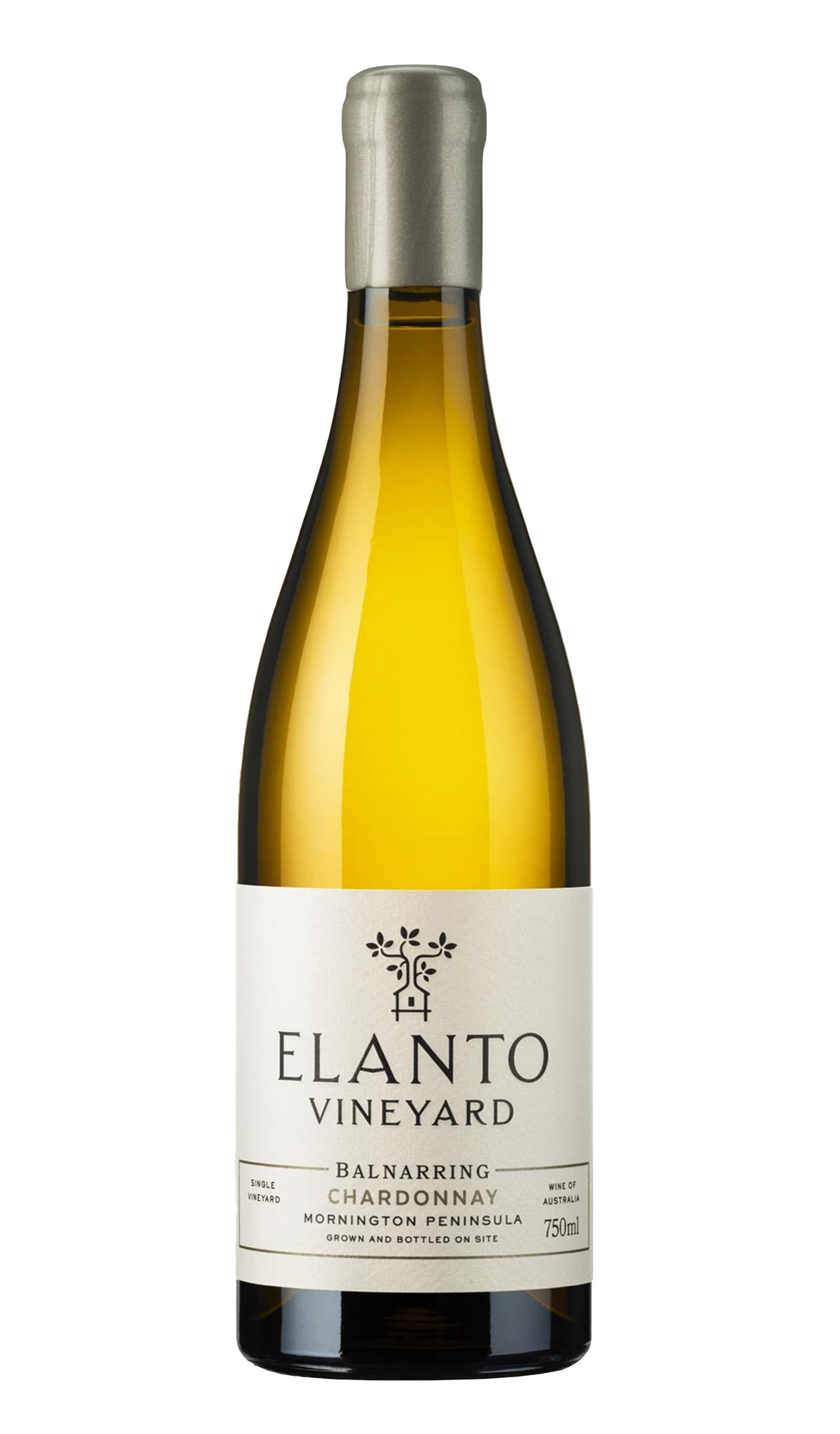 Find out more or buy Elanto Vineyard Balnarring Chardonnay 2023 available at Wine Sellers Direct's best prices.