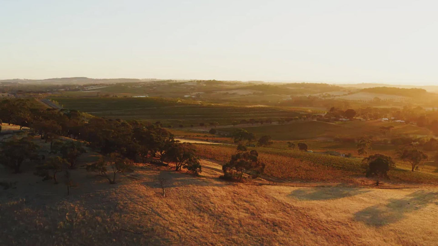 Explore the range and buy Hentley Farm wines available a Wine Sellers Direct's best prices - Australia's independent liquor specialists.