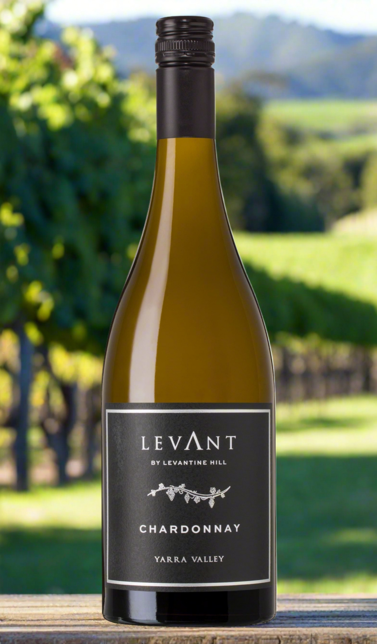 Find out more, explore the range and purchase Levantine Hill Levant Chardonnay 2021 (Yarra Valley) available online at Wine Sellers Direct - Australia's independent liquor specialists.