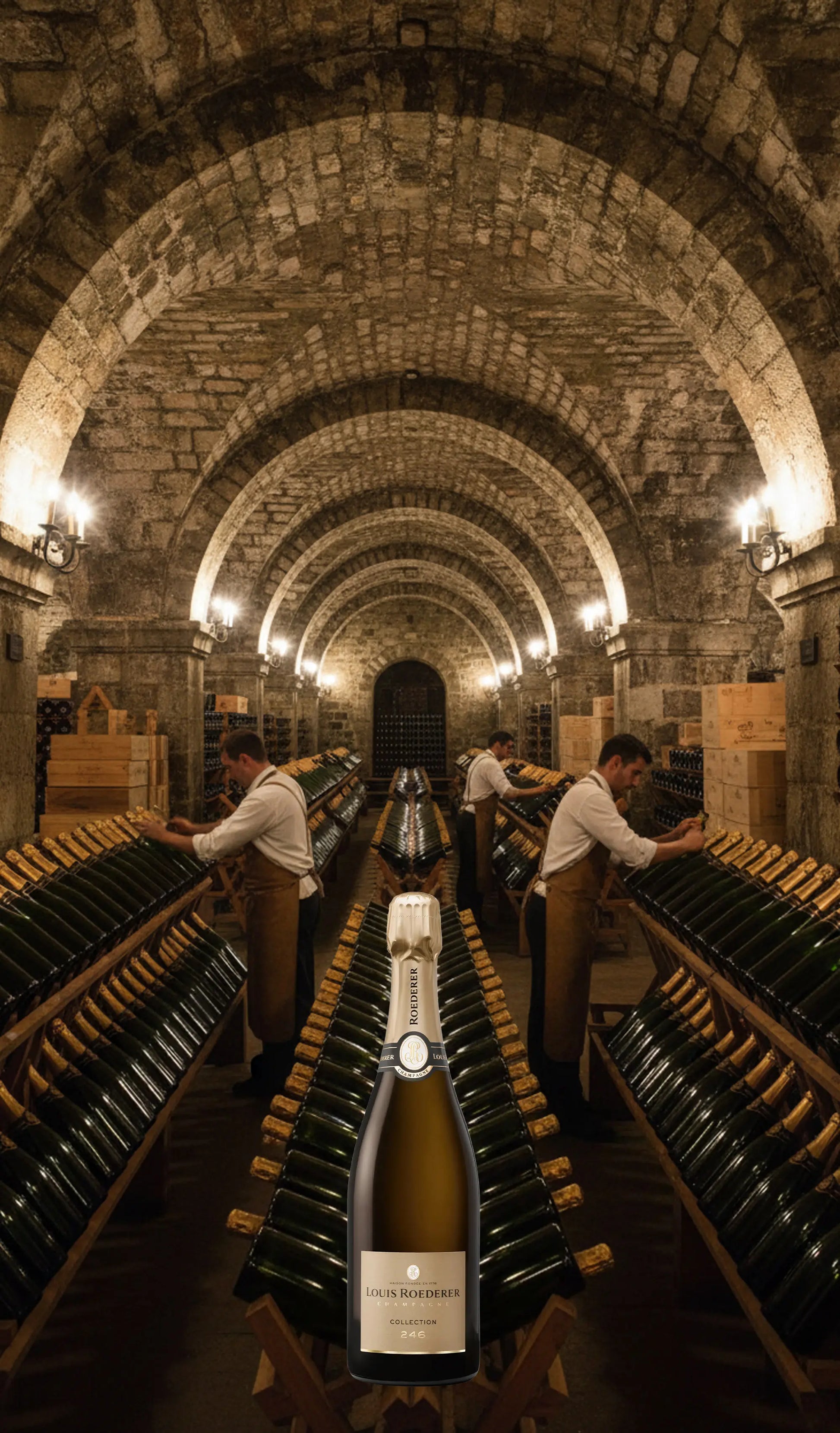 Louis Roederer Collection 246 Brut Champagne NV 750ml bottle in cellars