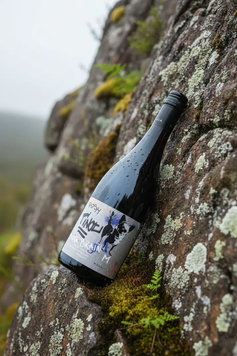 Moorilla Estate Praxis Pinot Noir 2024 750ml bottle from Tasmania