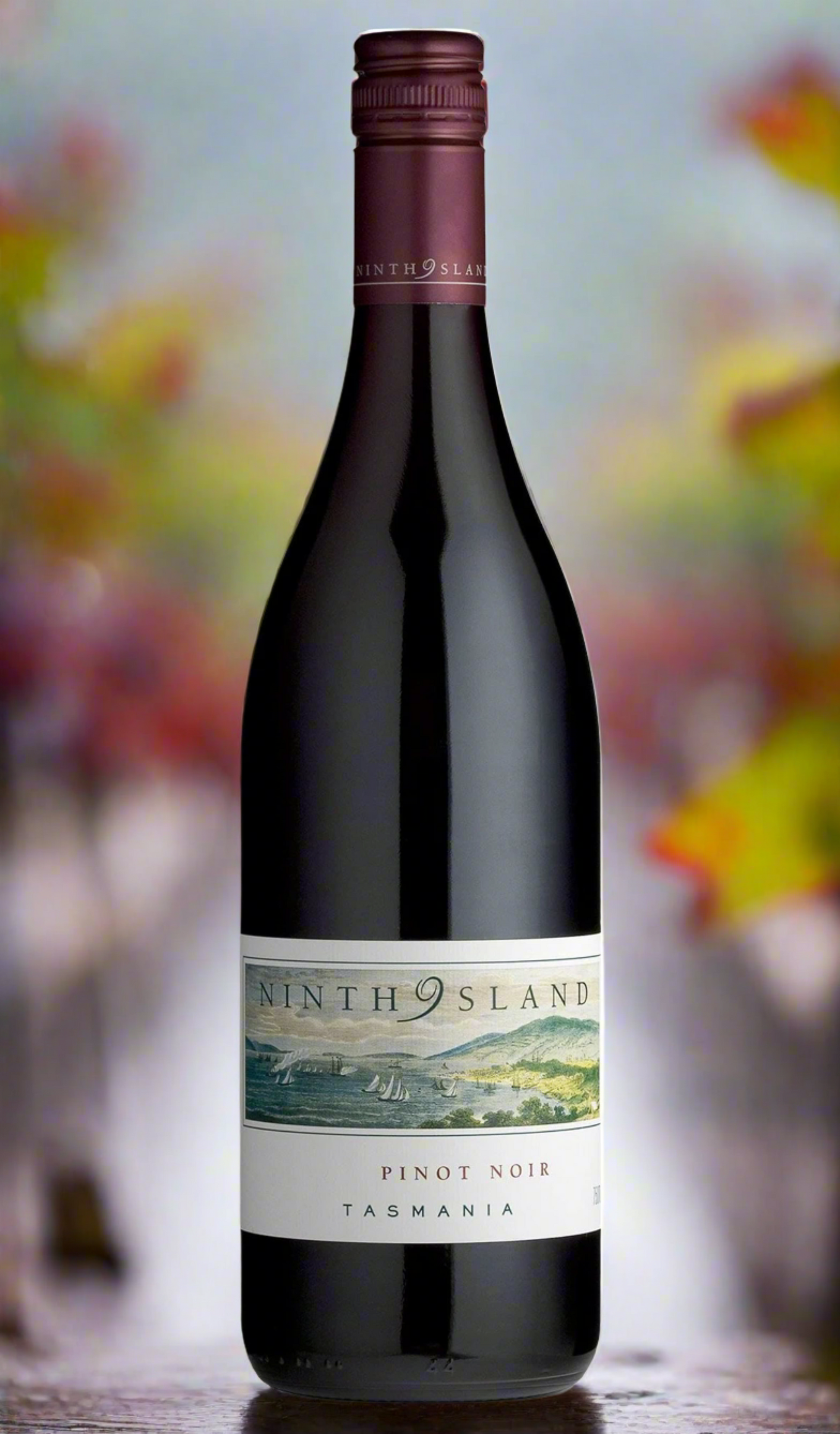 Find out more or buy Ninth Island Tasmanian Pinot Noir 2023 online at Wine Sellers Direct - Australia’s independent liquor specialists.