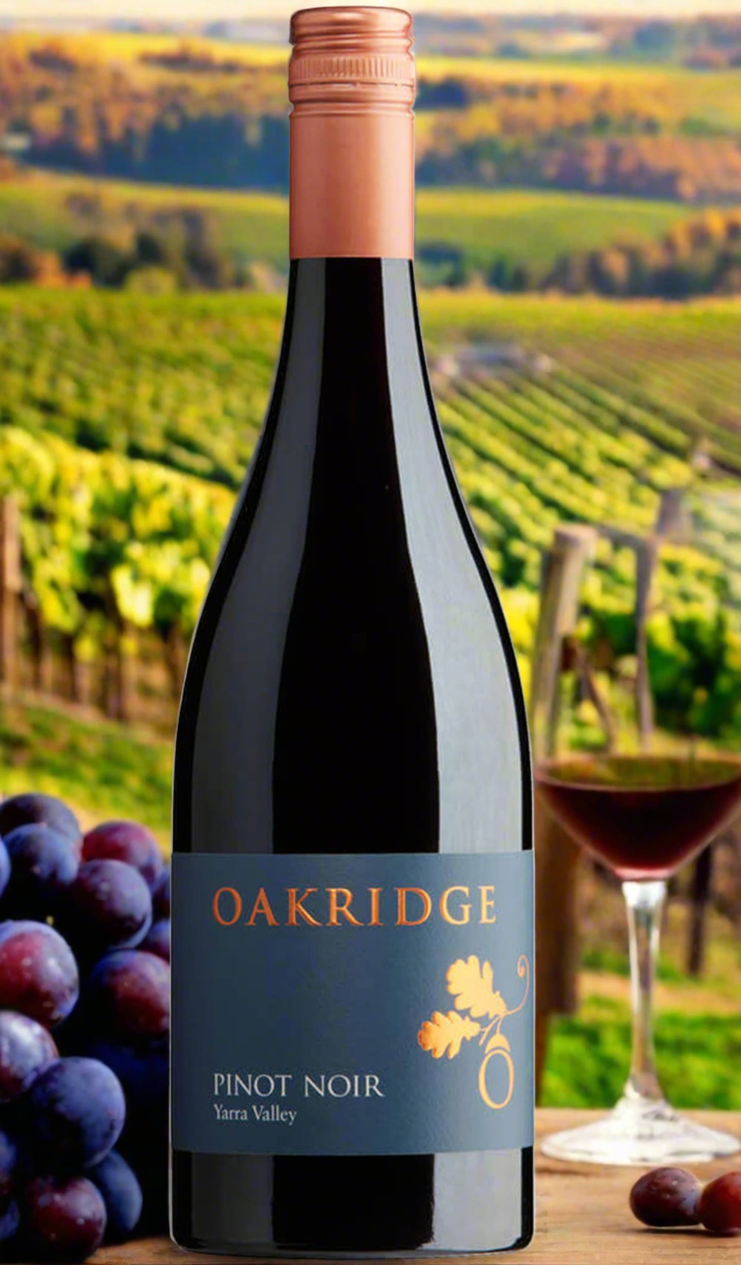 Find out more or buy Oakridge Yarra Valley Pinot Noir 2023 online at Wine Sellers Direct - Australia’s independent liquor specialists.