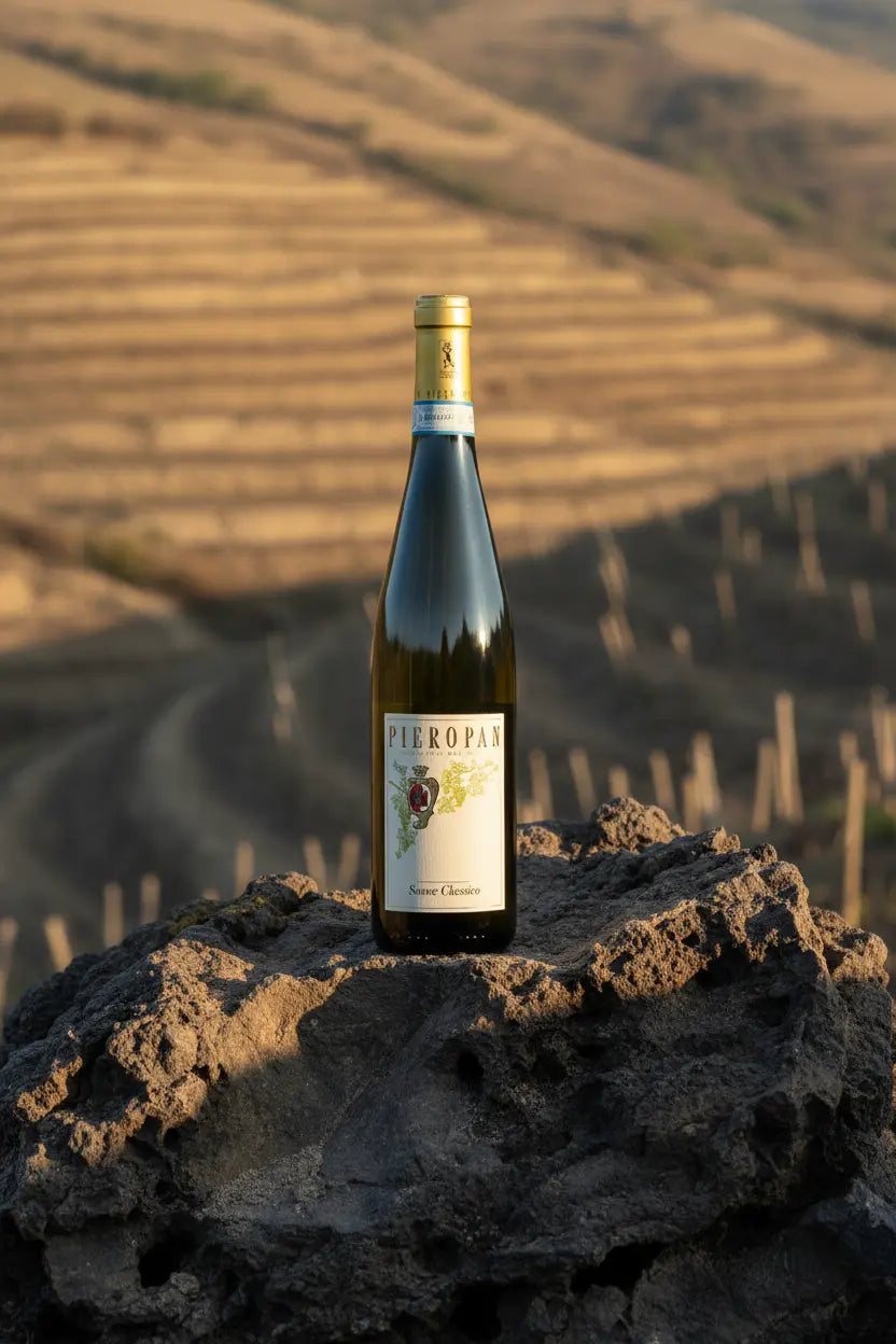 Pieropan Soave Classico 2025 375mL half bottle of white wine from Italy