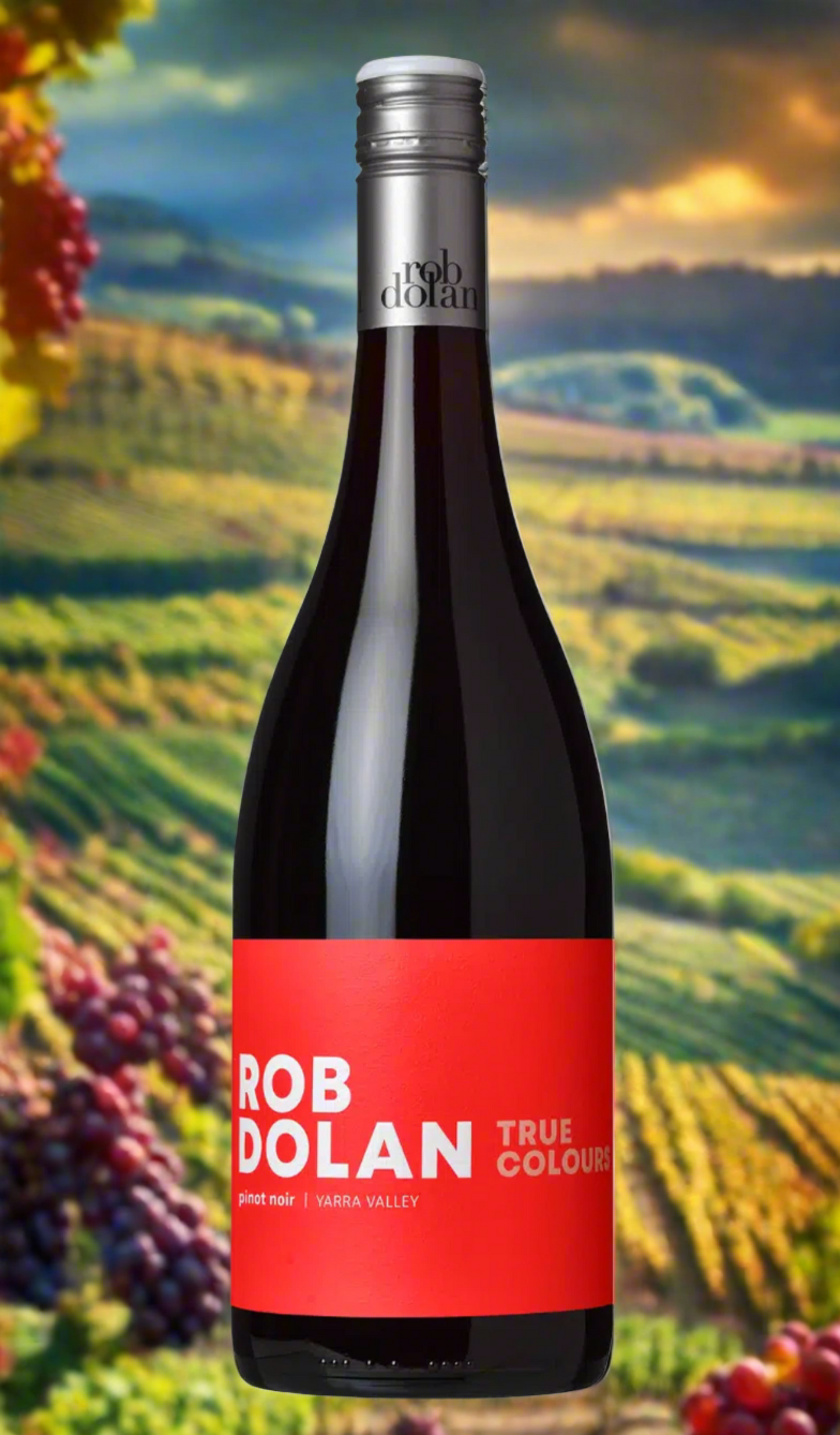 Find out more, explore the range and buy Rob Dolan True Colours Pinot Noir 2023 (Yarra Valley) available online at Wine Sellers Direct - Australia's independent liquor specialists at the best prices.