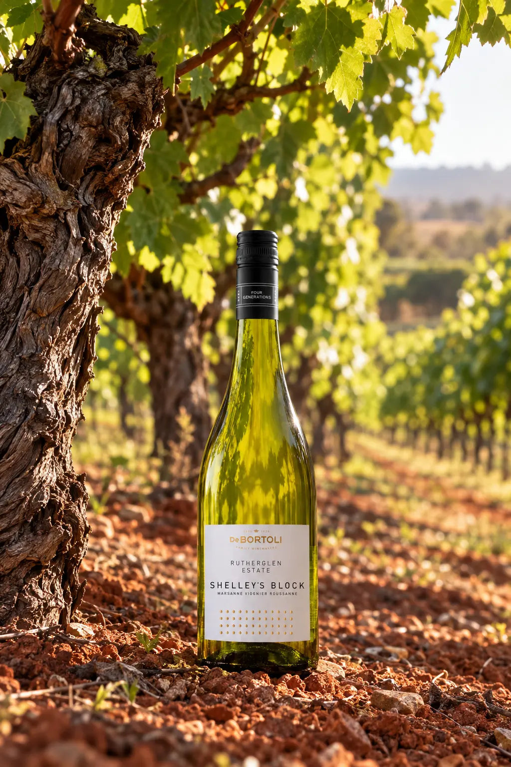 Rutherglen Estate Shelley's Block 2023 white wine blend 750mL bottle from Rutherglen