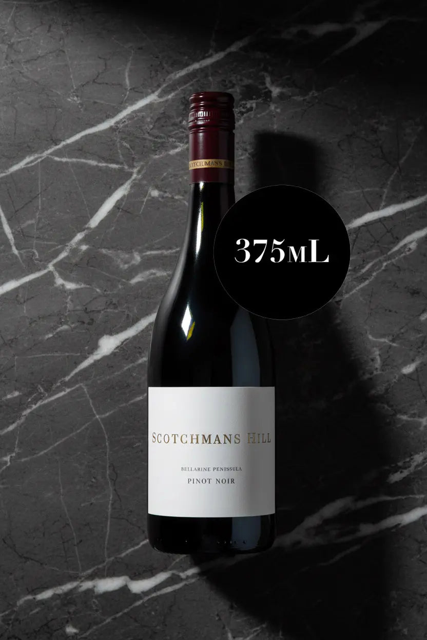 Buy Scotchmans Hill Pinot Noir 2024 375ml Bellarine Peninsula online at Wine Sellers Direct.