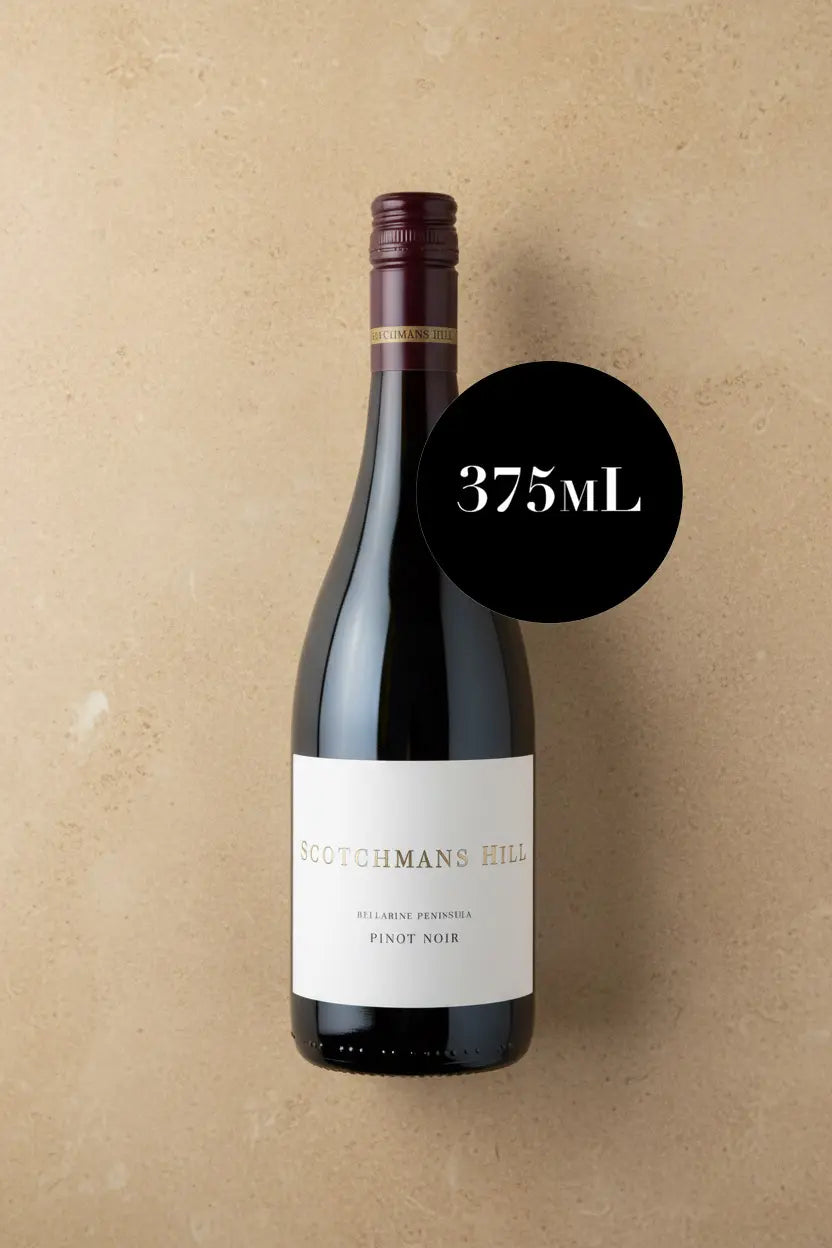 Buy Scotchmans Hill Pinot Noir 2024 375ml Bellarine Peninsula online at Wine Sellers Direct.