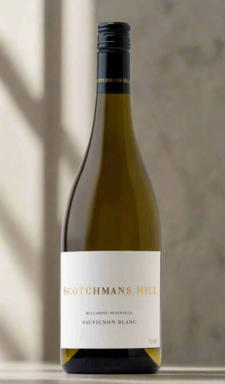 Find out more or buy Scotchmans Hill Sauvignon Blanc 2023 (Bellarine Peninsula) available at Wine Sellers Direct's best prices.