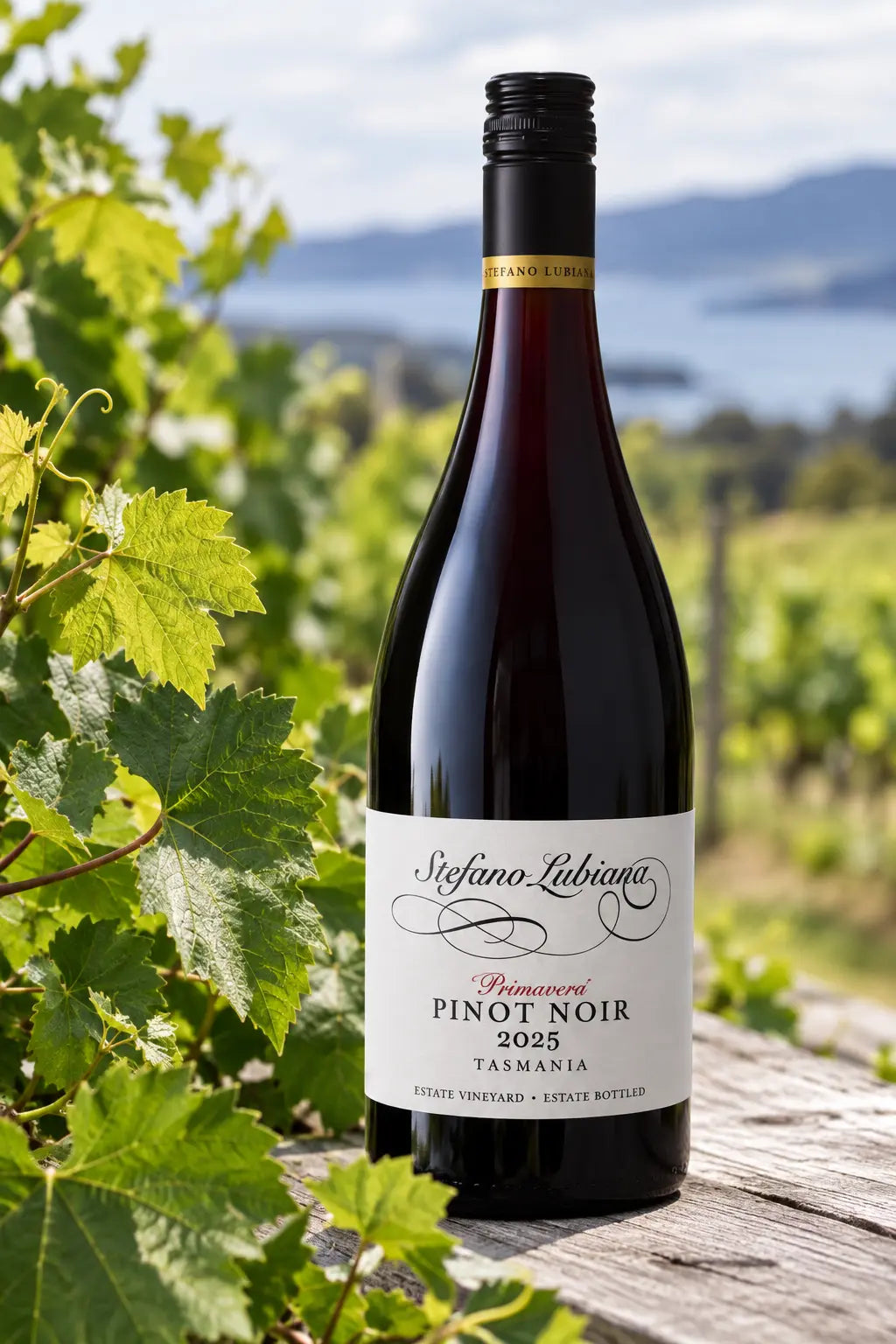Stefano Lubiana Primavera Pinot Noir 2025 750mL bottle of red wine from Tasmania