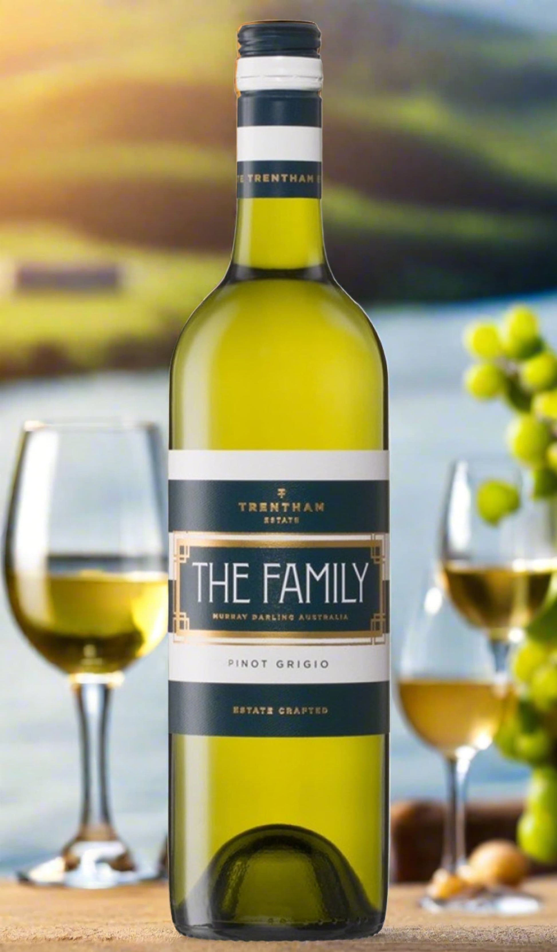 Find out more or buy Trentham Estate The Family Pinot Grigio 2024 (Murray Darling) online at Wine Sellers Direct - Australia’s independent liquor specialists.