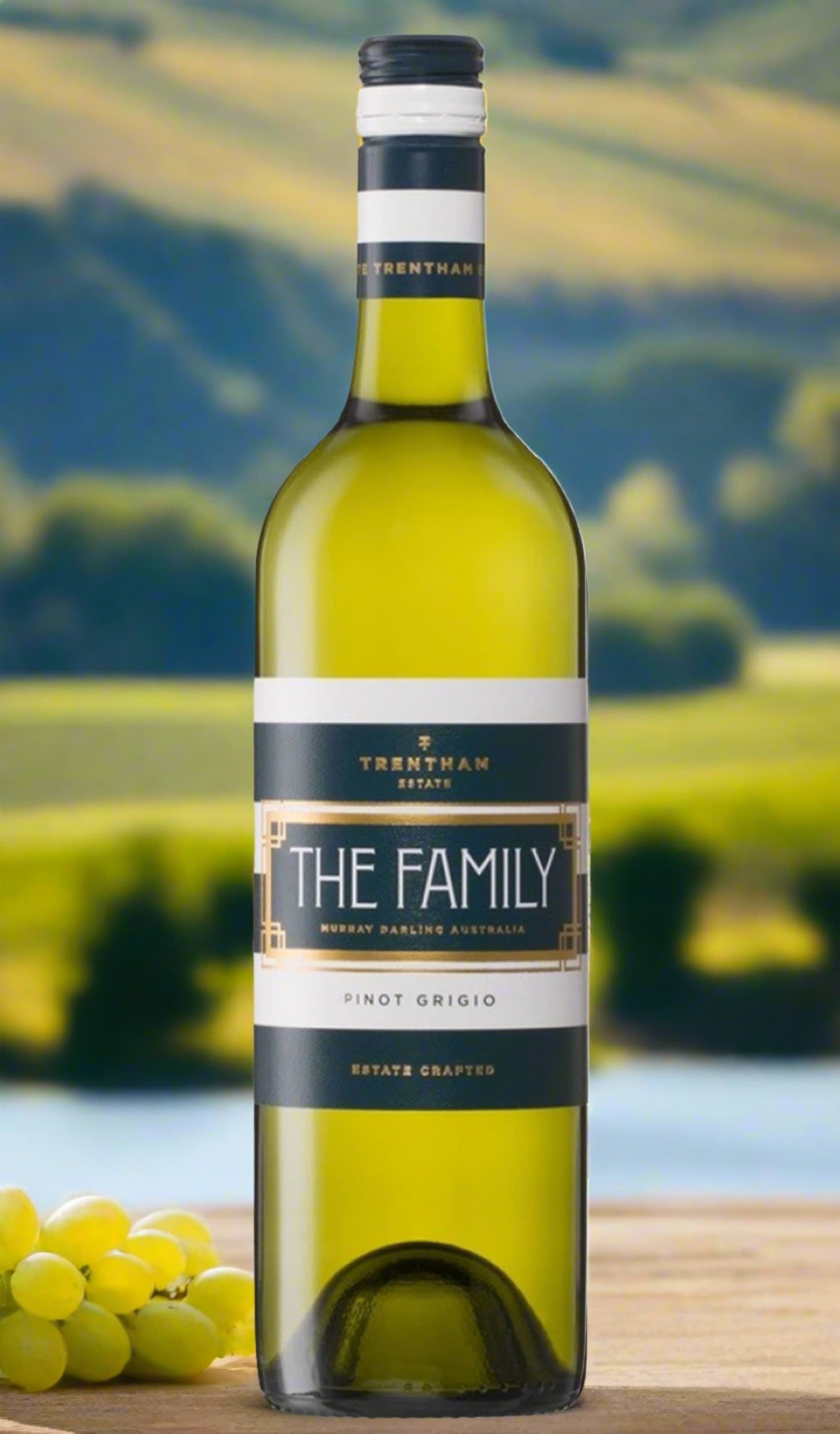 Find out more or buy Trentham Estate The Family Pinot Grigio 2024 (Murray Darling) online at Wine Sellers Direct - Australia’s independent liquor specialists.