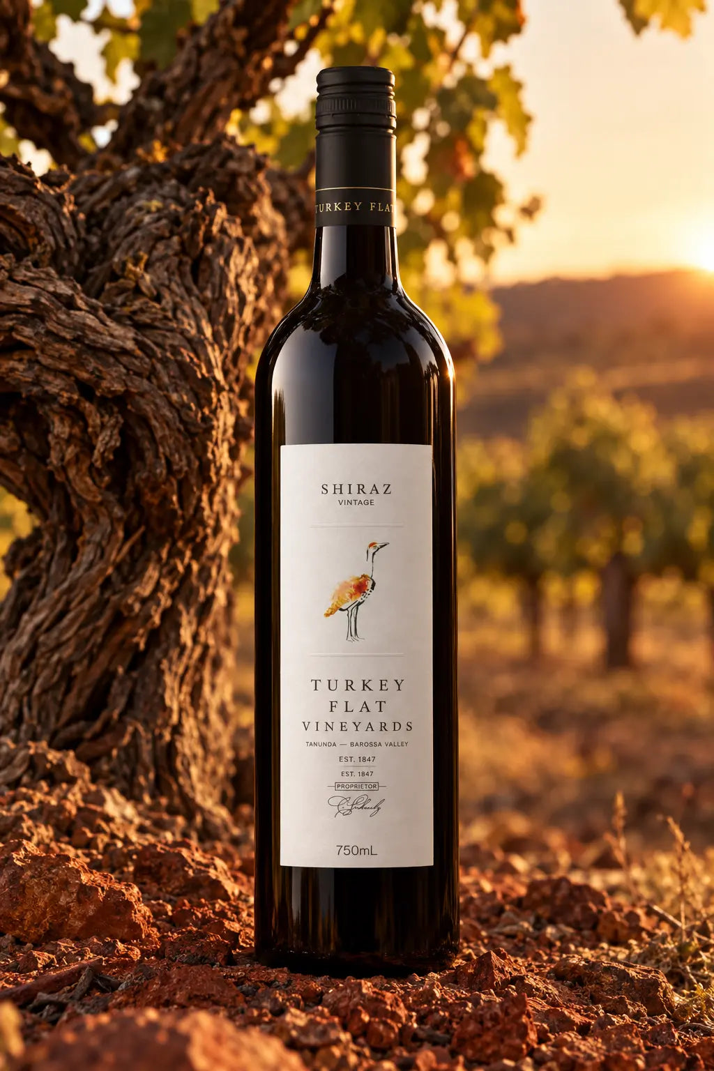 Turkey Flat Shiraz 2024 750mL bottle of red wine from Barossa Valley