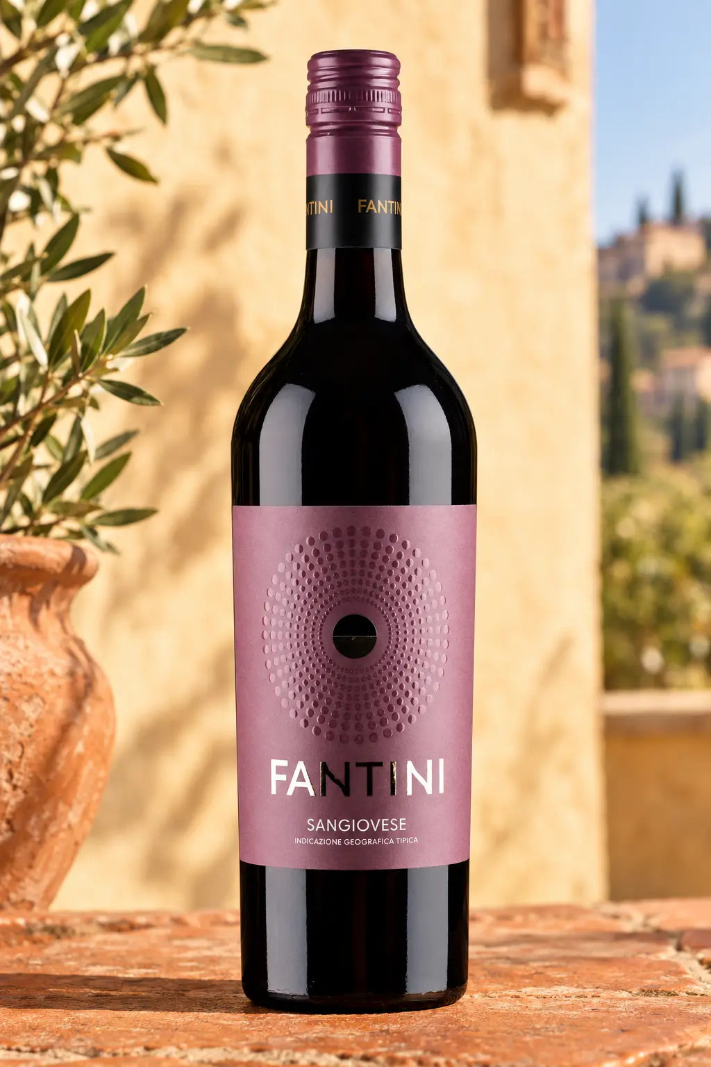 Fantini Abruzzo Sangiovese 2025 750mL bottle of red wine from Italy