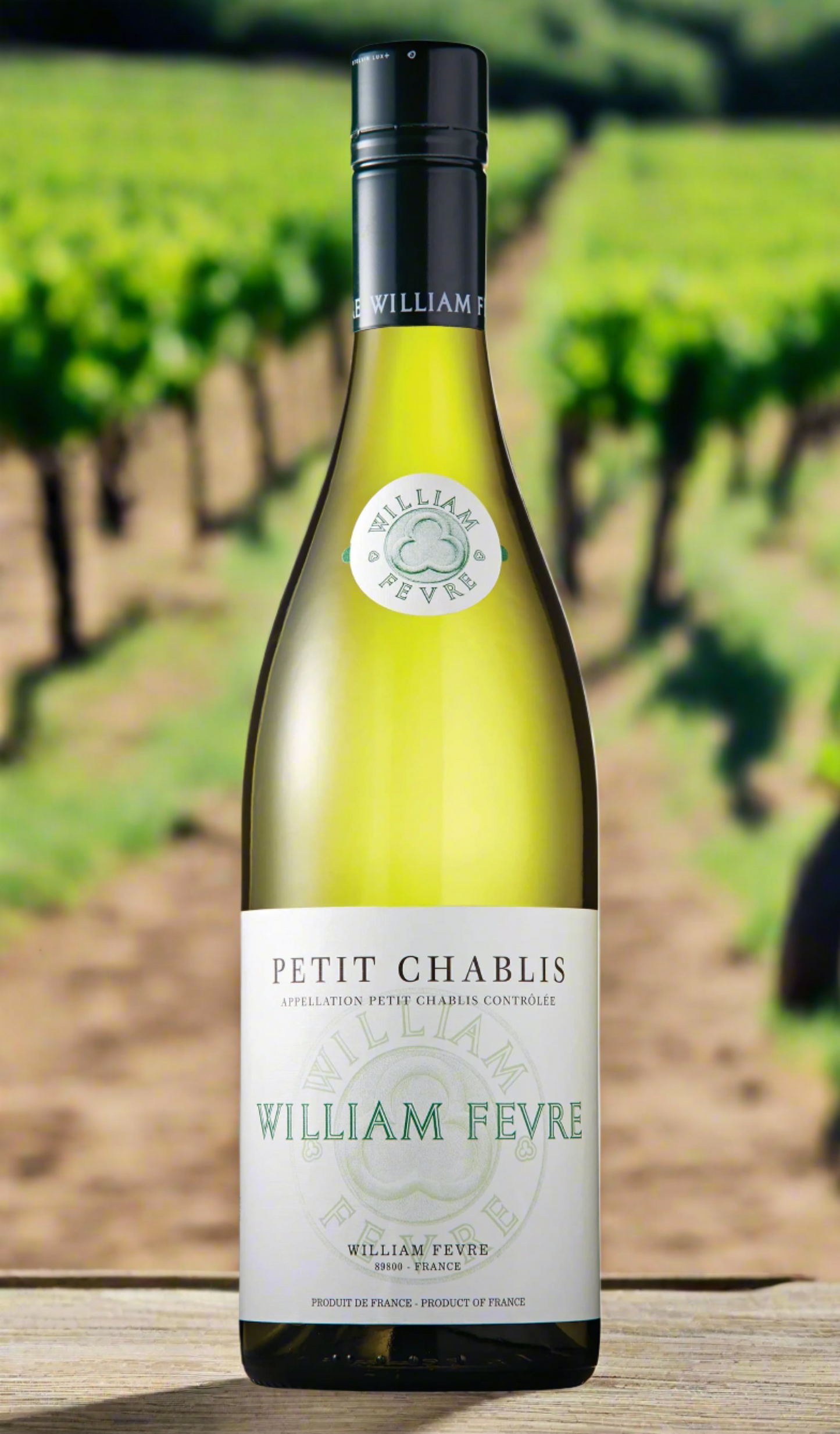 Find out more or buy William Fevre Petit Chablis 2022 online at Wine Sellers Direct - Australia’s independent liquor specialists.